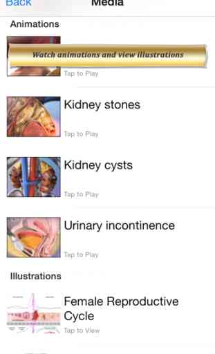Reproductive and Urinary Anatomy Atlas: Essential Reference for Students and Healthcare Professionals 4