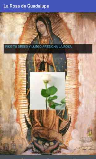 La Rosa de Guadalupe 3