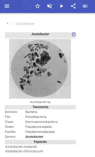 Las bacterias 2