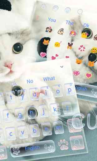 Linda bote gato teclado tema Cute Kitty Cat 2