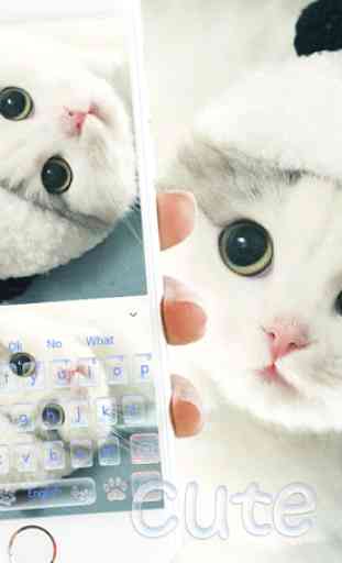 Linda bote gato teclado tema Cute Kitty Cat 3