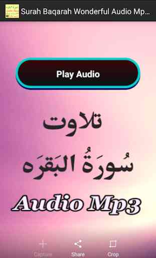 Surah Baqarah Wonderful Audio 2