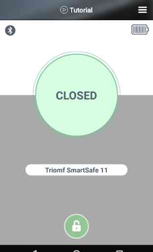 Triomf Smart Safe 2
