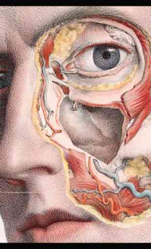 Anatomia Humana 3D. Cuerpo humano y funciones 3