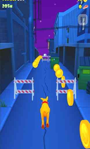 My Dog Turbo Adventure 3D: The Diggy's Fast Runner 1
