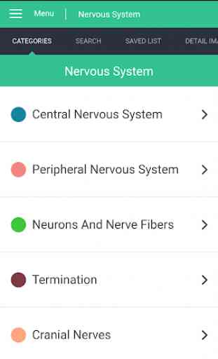 Nervous System Reference Guide 4