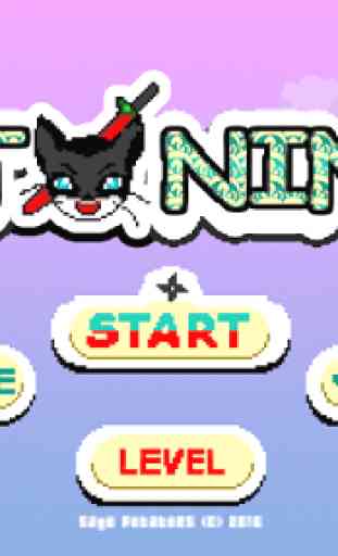 Ninja Cat 1
