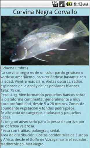 PescaMed 2