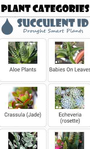 SucculentID Mobile Identify Your Succulent Plants 2