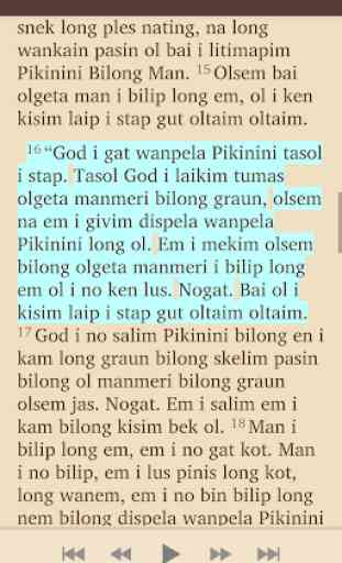 Tok Pisin Bible 2
