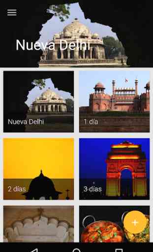 Nueva Delhi Guía Turística 1