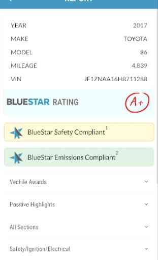 BlueStar-Sales 2