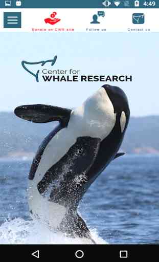 Center for Whale Research 2