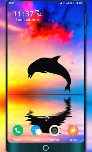 Dolphin Wallpapers 2
