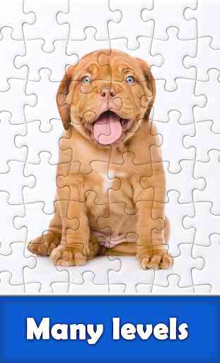 Jigsaw Puzzle 3