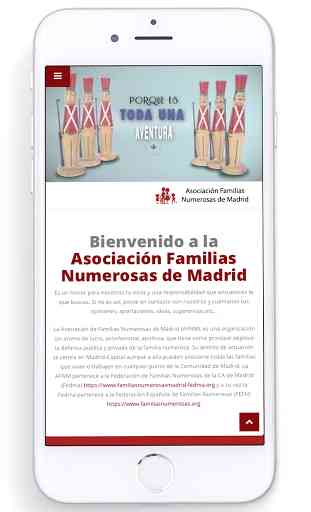 A. Familias Numerosas Madrid 3