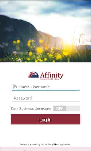 Affinity FCU Business Banking 1