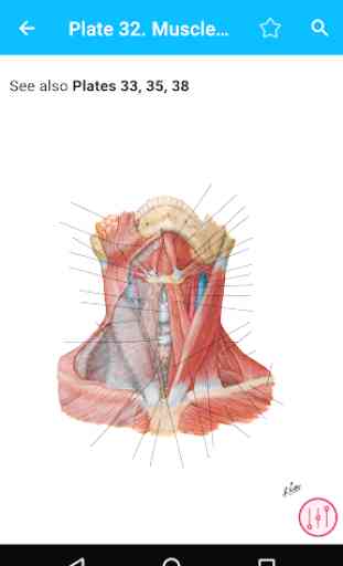 Anatomy Atlas, USMLE, Clinical 2
