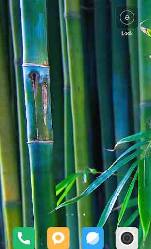 Bamboo Wallpaper HD 3