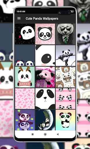 Cute Panda Wallpapers 4