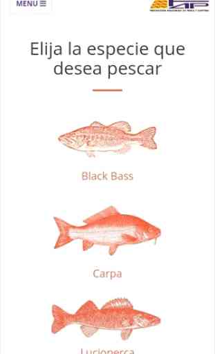 Federación Aragonesa de Pesca y Cásting 4