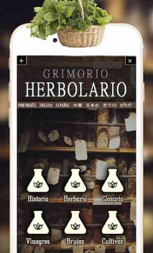 Grimorio herbolario 1