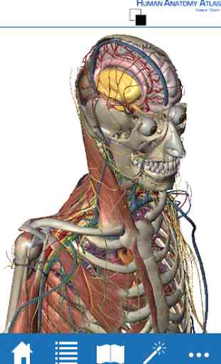 Human Anatomy Atlas - Springer 1