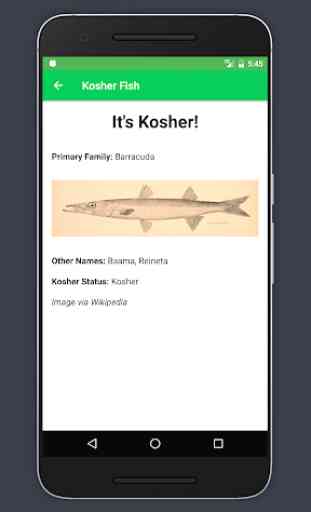 Kosher Fish 2