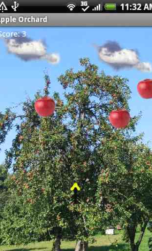 Apple Orchard 1