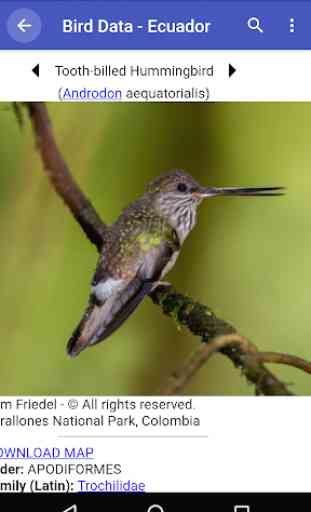 Bird Data - Ecuador 2