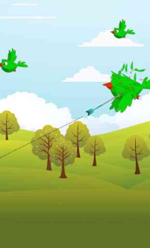 Birds Hunting Archery 2