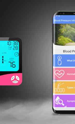Blood Pressure - BP Info Diary 1