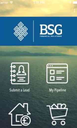 BSG Financial Solutions 1