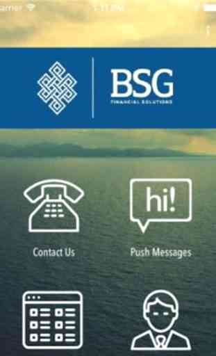 BSG Financial Solutions 2