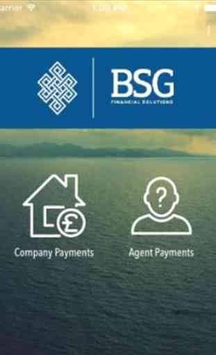 BSG Financial Solutions 3