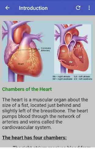 Cardiology Guide 1