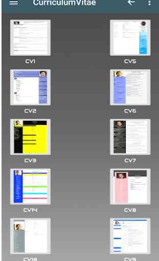 Curriculum Vitae PDF 2