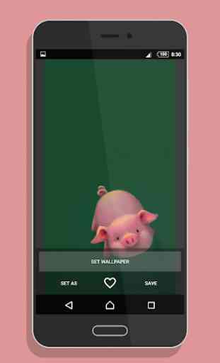 Cute Pig Wallpaper 4