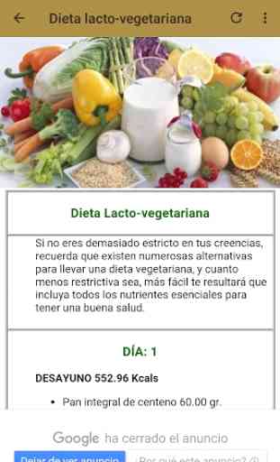 Dietas y Recetas Vegetarianas 2