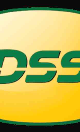 DSS 2