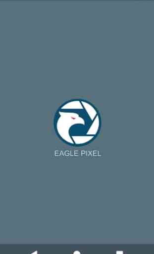Eagle Pixel - Photo Editor 1
