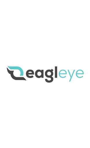 Eagleye - P&G 1