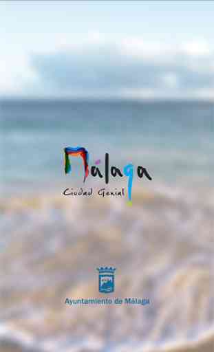 Malaga Turismo 3