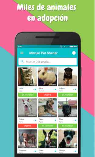 Miwuki Pet Shelter - Adopción de perros y gatos 1