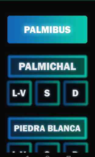 PalmiBus 1