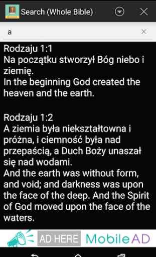 Polish English Bible 4