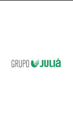 Servicios Grupo Juliá 1