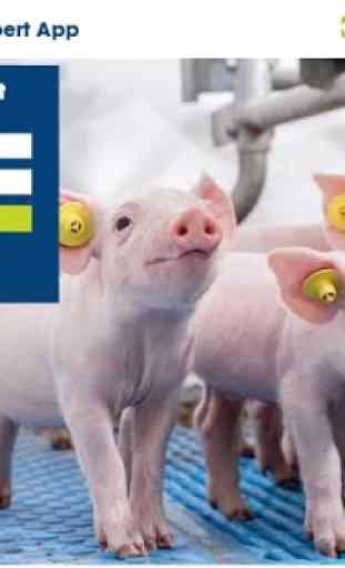 Trouw Nutrition Swine Expert app 1
