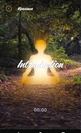 Vipassana by Guided Meditation Treks 2