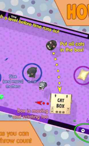 Zero Gravity Cat Box 2